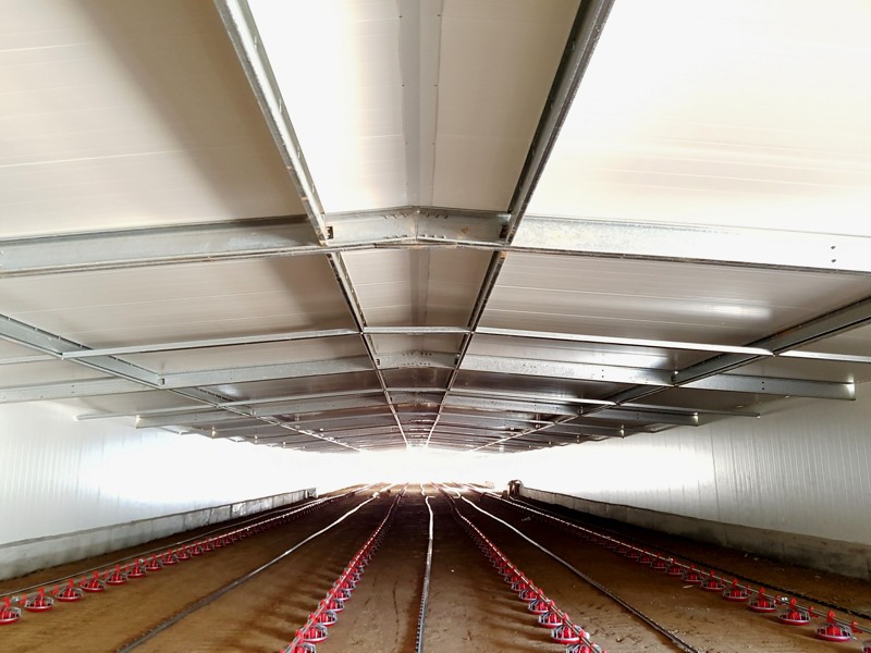 Panel tipo sándwich Termopanel® en galera agricola