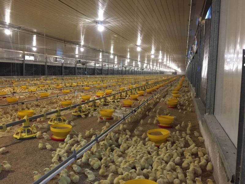 Construcción en Panamá con techos prefabricados TERMOPANEL de Ecotec