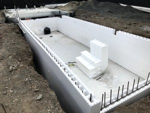 ICF PROFORM