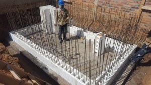 ICF PROFORM