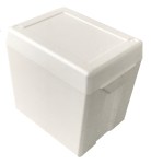 Nevera de foam 21 litros fabricada en EPS – Ecotec Panamá